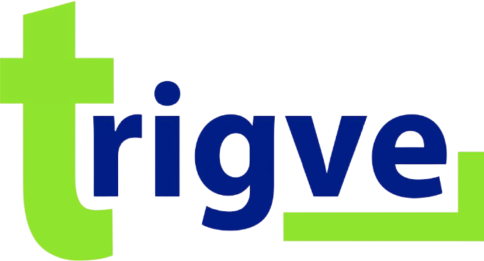 Trigve Business Coaching and Training